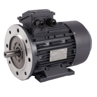 Motori elettrici Serie Simotop